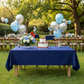 Birthday Celebration Outdoor