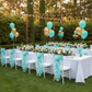 Birthday Party Outdoor - Turquoise Curly Willow Sash