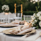 Champagne Lamour Satin Napkin – Outdoor Reception