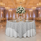 Silver Chemical Lace Overlay - Indoor Reception
