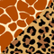 Animal Print