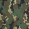 Camouflage