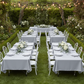 Garden Party Closer View