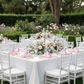 Garden Party Pink French Toile Linen 20x20 Napkin (5pc/pack) 