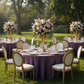 Golden Hour Garden Reception