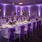 Indoor Corporate Gala - Purple Curly Willow Sash