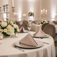 Indoor Formal Event - Napkin Focal Point Light Setting
