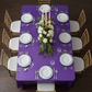 Flat Lay Indoor Gala