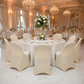 Folding Spandex Chair Cover - Ivory with Banquet Folding Chairs.