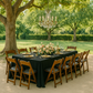 King Tablecloth in a garden setting