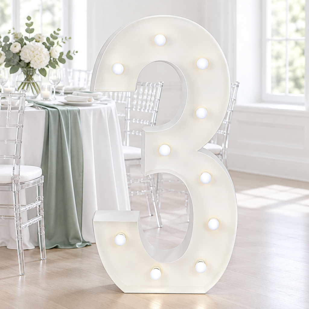 Large 4ft Tall LED Marquee Number - 3.