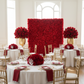 Roll Up Flower Wall Backdrop 8ft x 4ft - Red with Gold Chiavari Chairs.