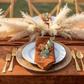 Velvet 20"x20" Linen Napkin - Terracotta.