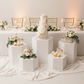 White Hexagon Pedestal Cake/Dessert Display Stands 5 pcs/set.