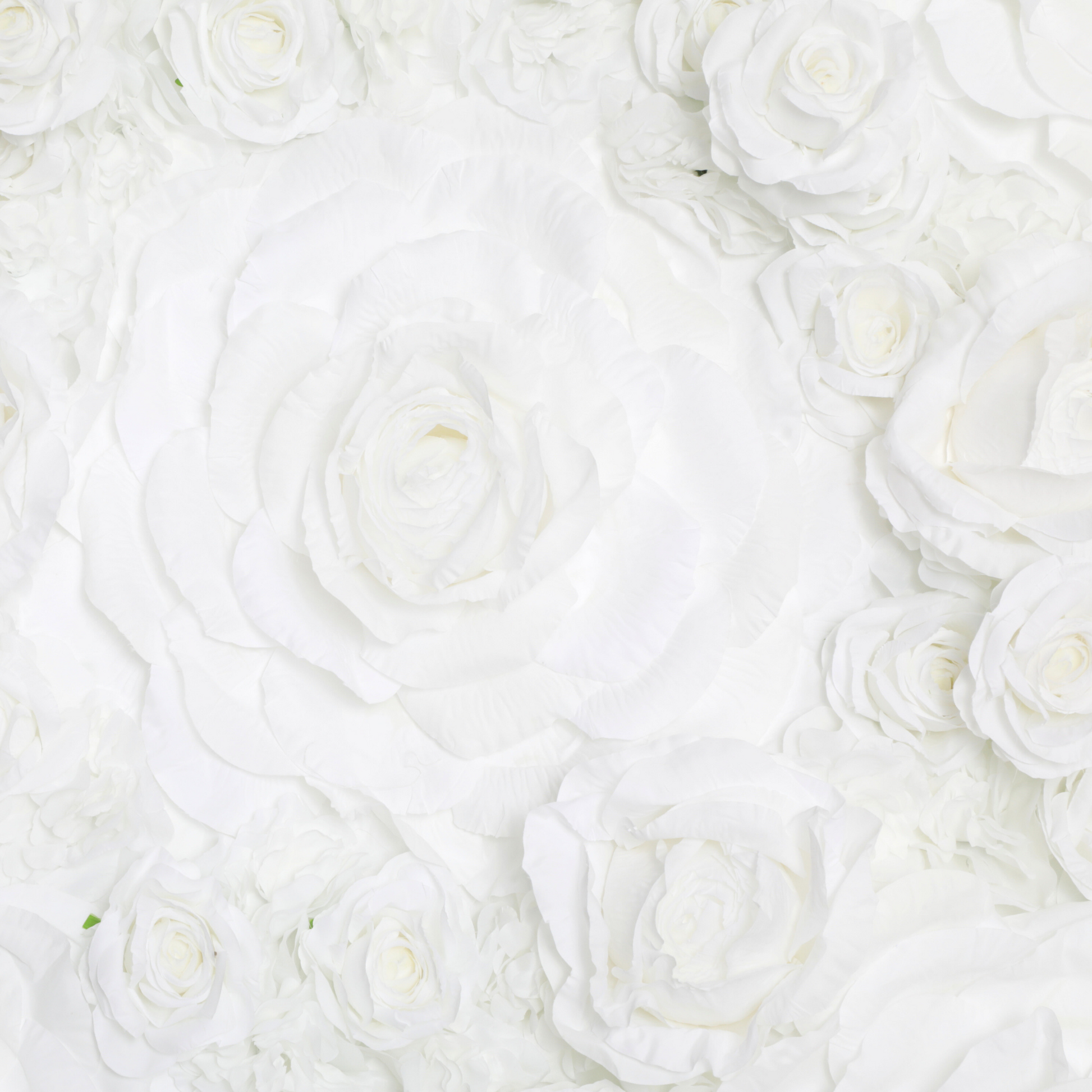 Luxe Roll Up Flower Wall Backdrop 8ft x 4ft - White