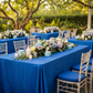 Outdoor Baby Shower – Royal Blue Taffeta Tablecloth