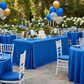 Outdoor Birthday Party – Royal Blue Taffeta