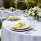 Outdoor Birthday Soft Knot Yellow 20x20 Premium Polyester Napkin 