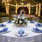 Outdoor - Cornflower / Serenity Satin Napkin