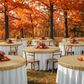 Outdoor Fall Harvest Event