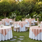 Outdoor Fundraiser Event
