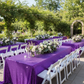 Outdoor Garden Event