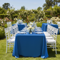 Outdoor Garden Party