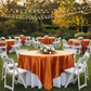 Outdoor Garden Reception