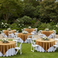 Outdoor Garden Reception