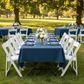 Outdoor Picnic Navy Blue Tablecloth with legs showing