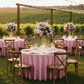 Outdoor Vineyard Event