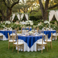 Outdoor Wedding Reception - Satin 72x72 Table Overlay Royal Blue