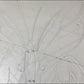 Butterfly Shape Backdrop Stand