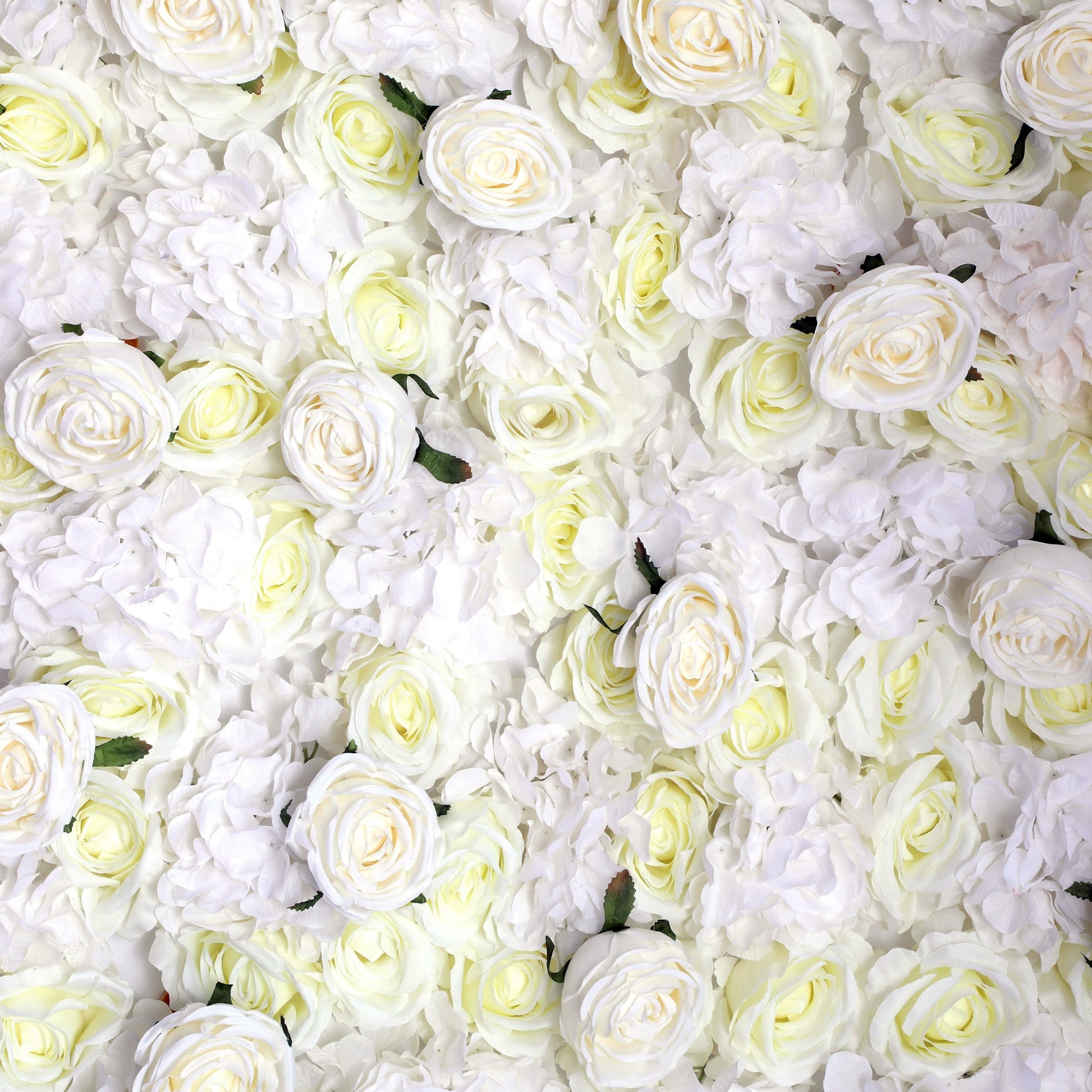 Roll Up Flower Wall Backdrop 8ft x 4ft - Ivory