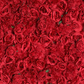 Roll Up Flower Wall Backdrop 8ft x 4ft - Red
