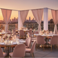 Rooftop Terrace – Blush Velvet Drape