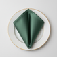 Satin Napkin Eucalyptus Top-Down on Plate
