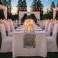Silver Payette Sequin Table Runner – Shorter Table Outdoor Gala