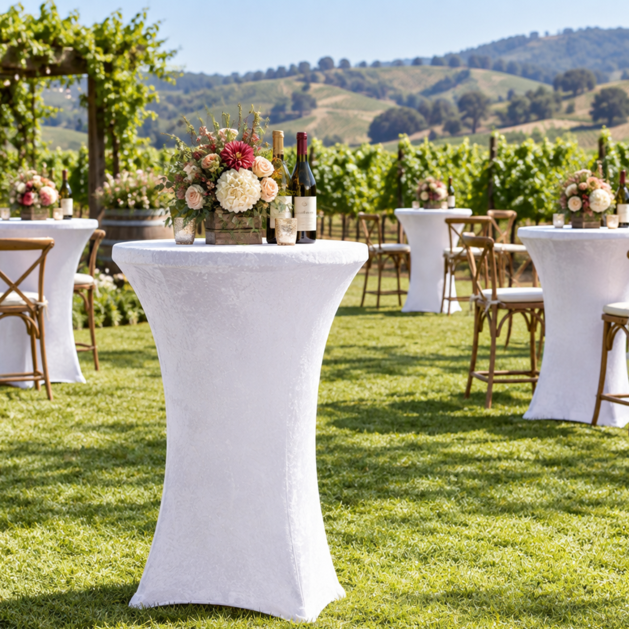 Vineyard Fundraiser Wide View