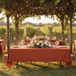 Vineyard Pergola