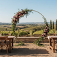Vineyard Wedding