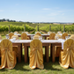 Vineyard Wedding