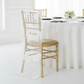 Vintage Veil Chiavari Chair Full Back Cover - White.