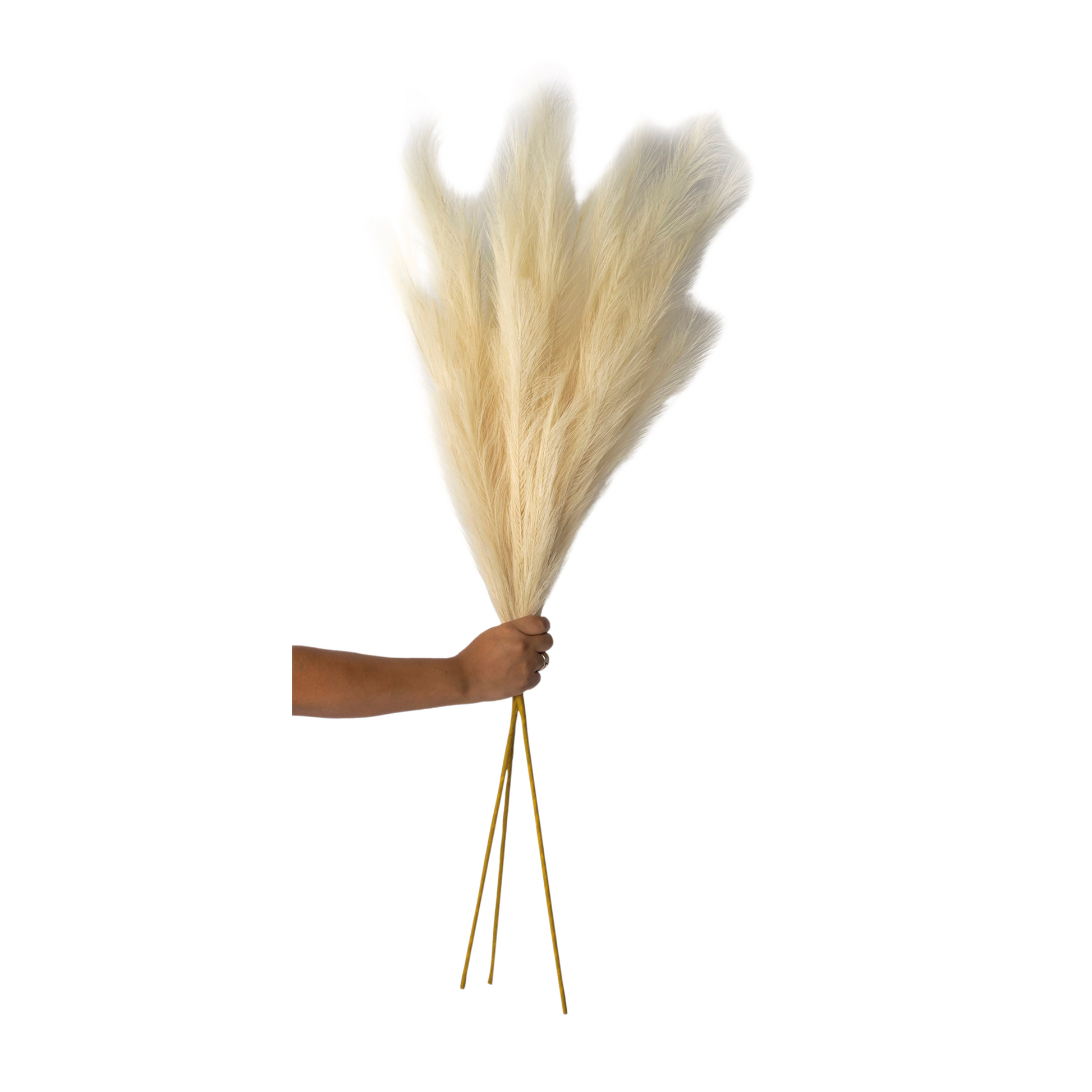 Collections Etc Faux Pampas Grass Picks - Set of 3 - Outdoor or Indoor  Decorative Accent, White