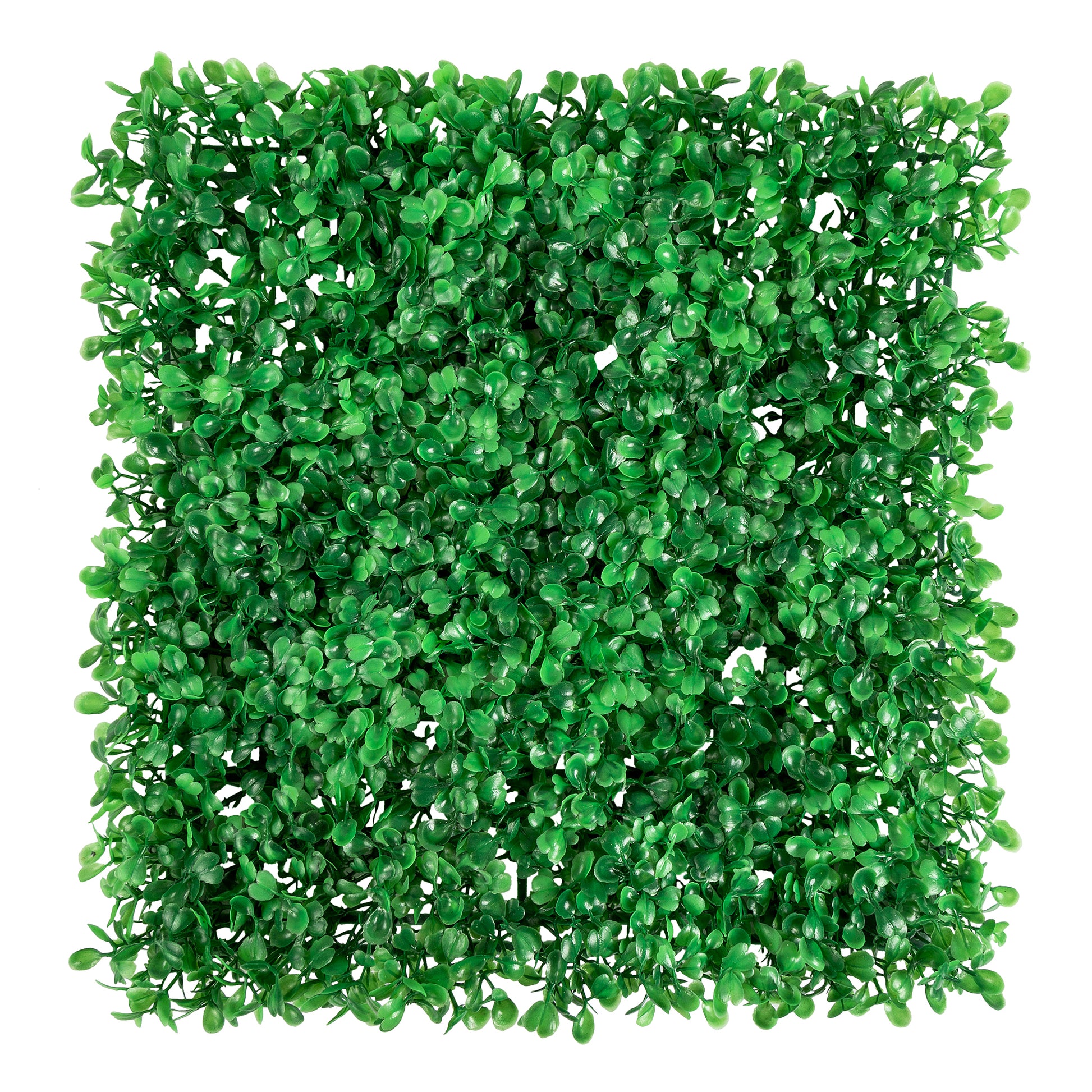 Artificial Boxwood Greenery Wall Backdrop Panel - 12"x12" - CV Linens