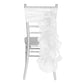 Curly Willow Chair Sash - White - CV Linens