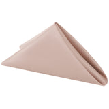 Lamour Satin Napkin 20