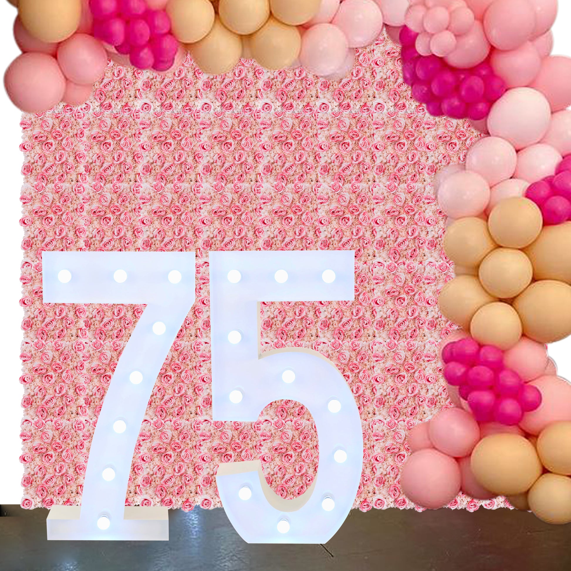 Large 4ft Tall LED Marquee Number - 5 with number 7 for sample setup