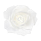 Lighted Large Foam Rose Wall Decor 30 cm - White