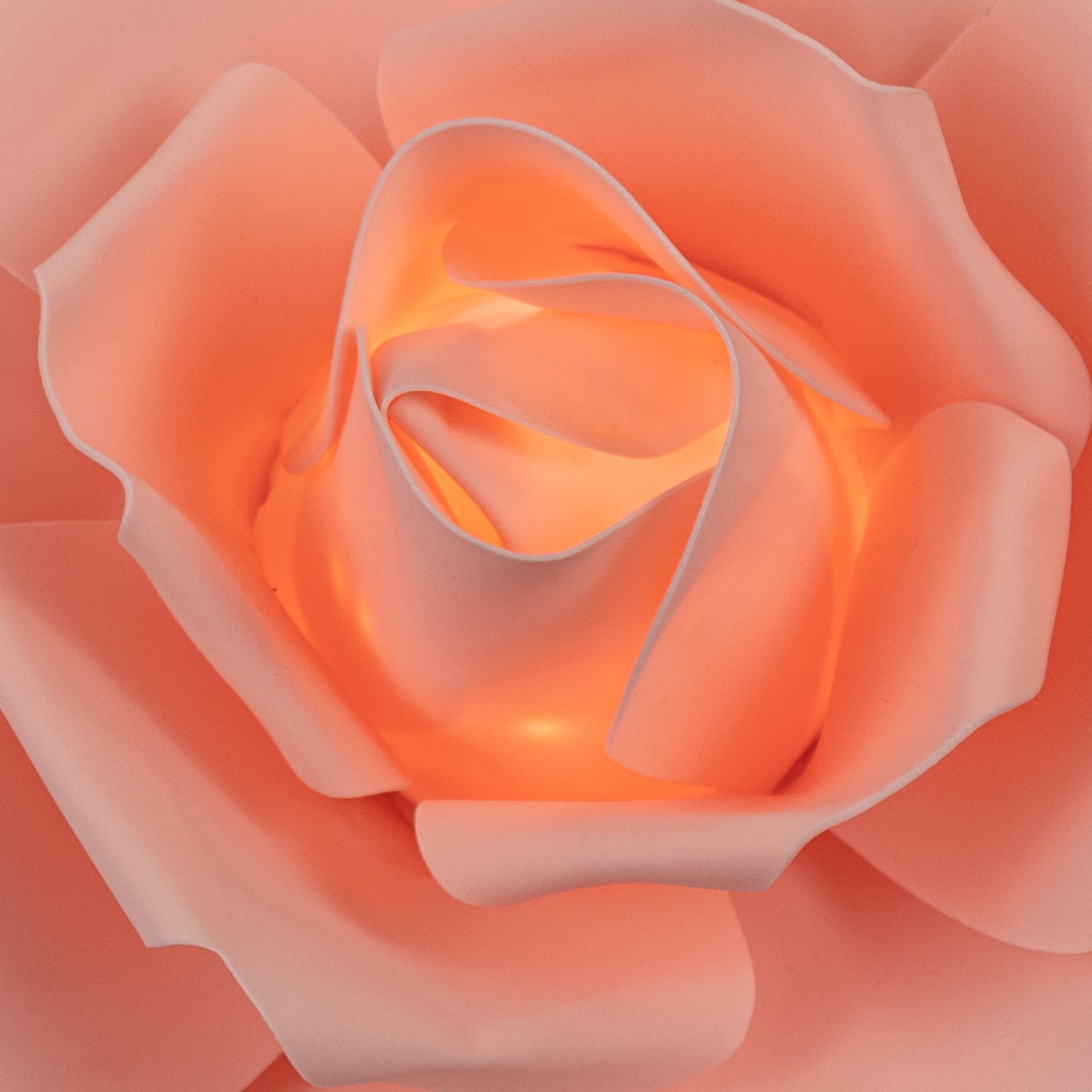 LED Lighted Large Foam Rose Wall Decor 40 cm Blush CV Linens